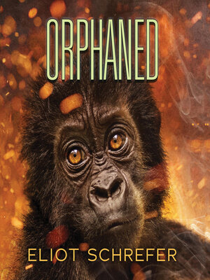 Orphaned - Audiobook